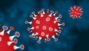 Coronavirus Information